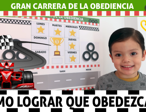 Gran Carrera de la Obediencia